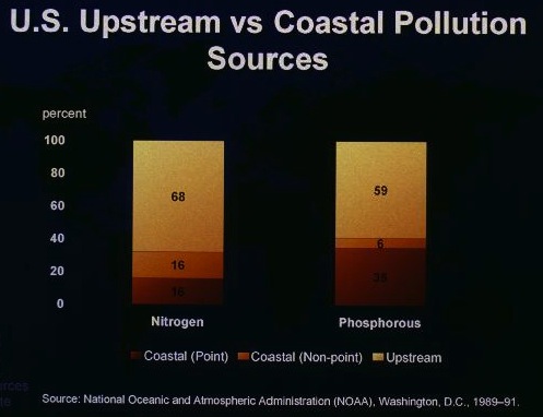 Coastal pollution